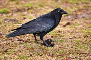 埋没法が人気のクリニックでおすすめの施術は？