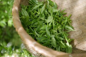 埋没法のダウンタイムを短縮するためのポイントは？