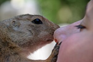 埋没法が激安な理由とは何ですか？