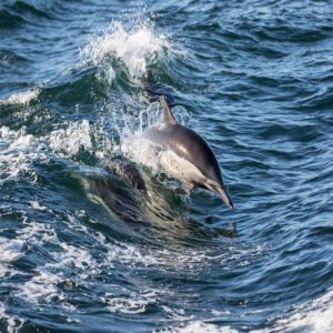 整形カウンセリングで受けるべき複数のポイントは？