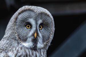 逆さまつげ手術で理想の二重まぶたを手に入れる方法は？