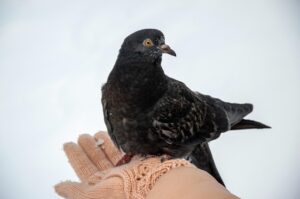 目頭切開をやるべき理由とは？