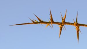 切開後の抜糸時に感じる痛みはどのくらい？